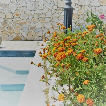 Estate Dafnopanagia Villa Magda Asprogerakata Экстерьер фото